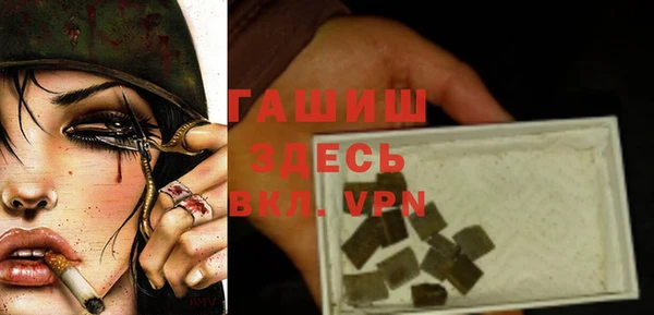прущие грибы Бородино