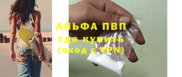 прущие грибы Бородино