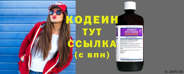 прущие грибы Бородино