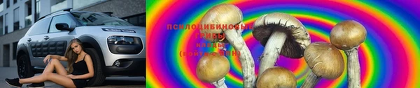 прущие грибы Бородино
