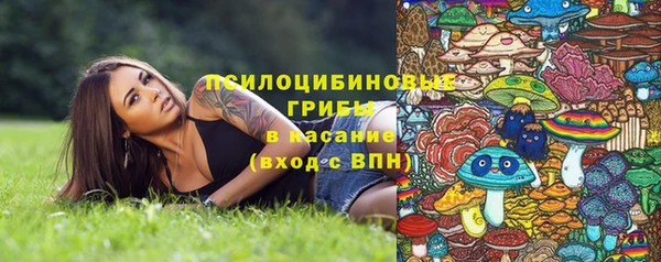 spice Бронницы