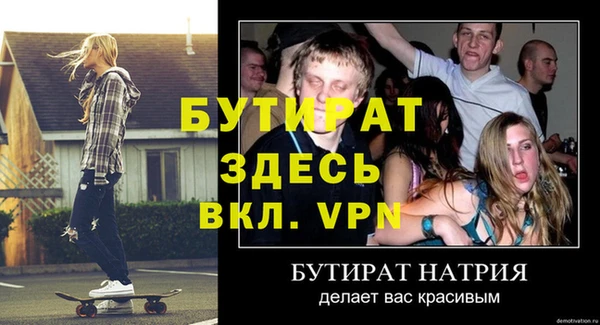 прущие грибы Бородино