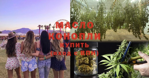 прущие грибы Бородино